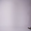 Dolce Vita Gibsen Burgundy Velvet Ballet Flats