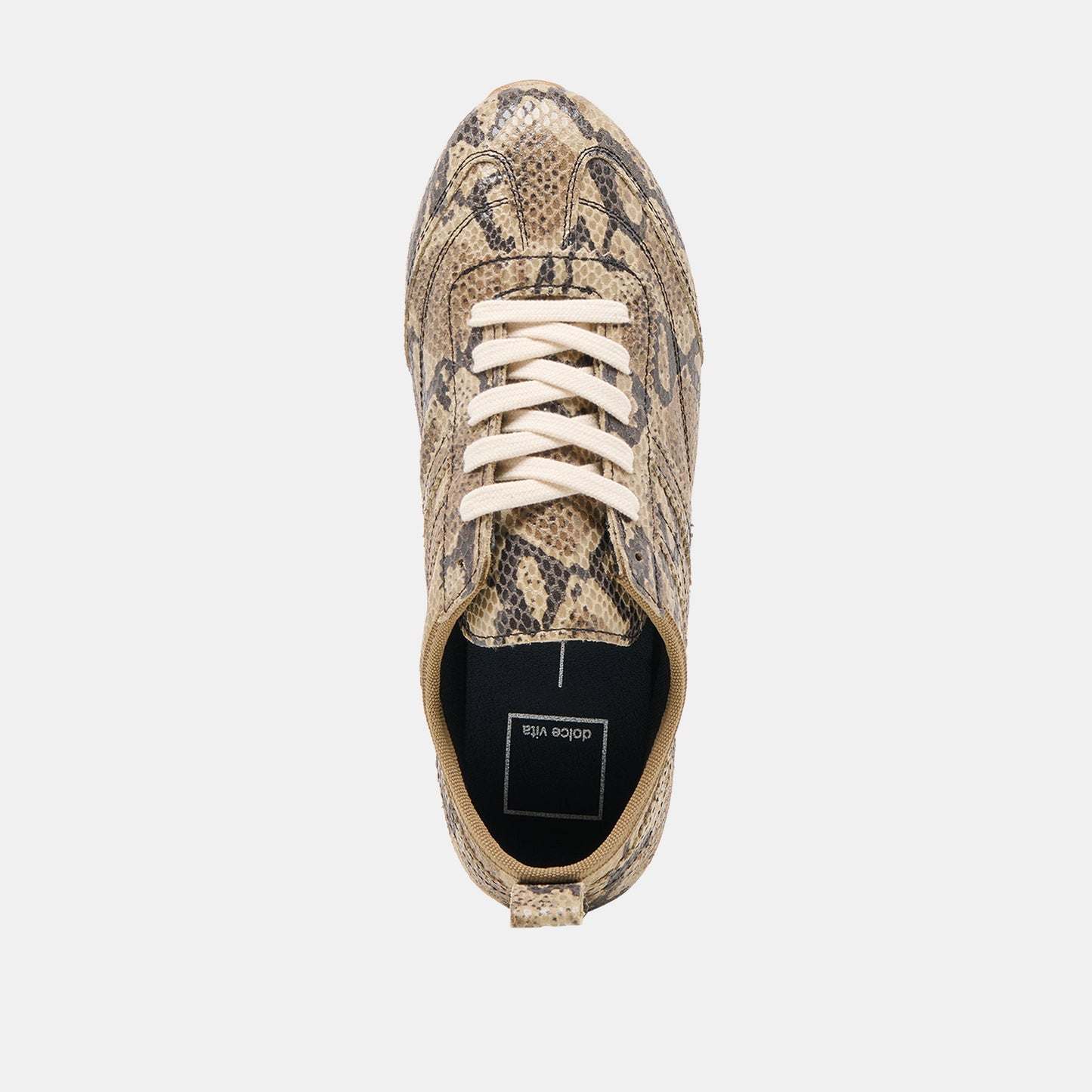 Dolce Vita Viper Snake Print Embossed Leather Sneakers
