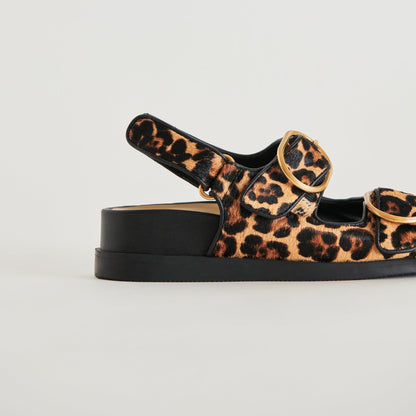 Dolce Vita STARLA SANDALS LEOPARD BLACK CALF HAIR