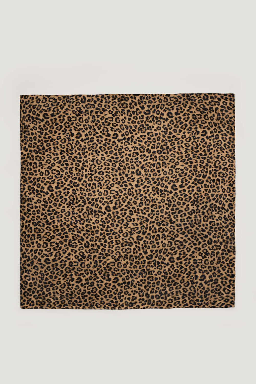 Dynamite Website Shop | Satin Feel Scarf Brown