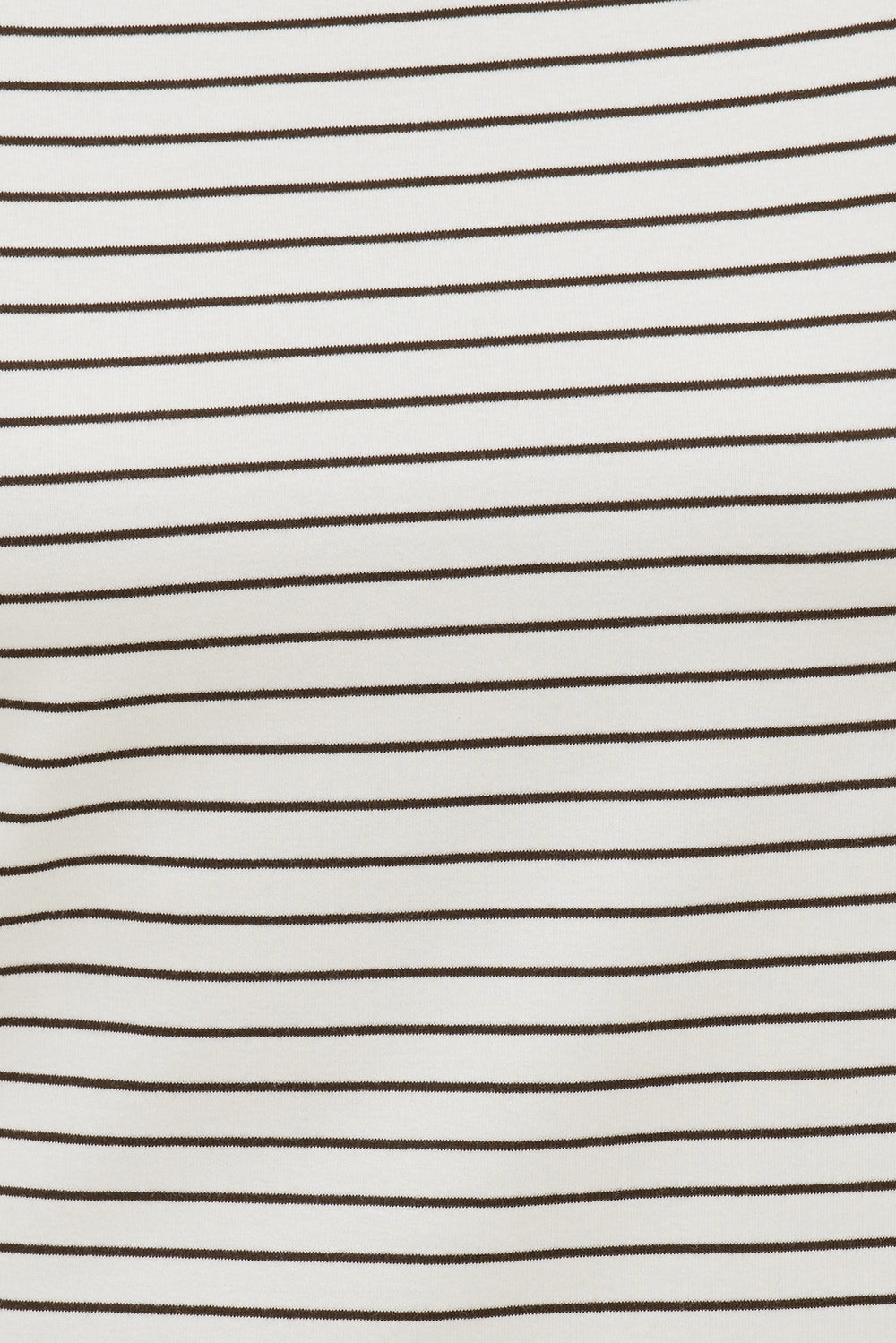 Dynamite On Sale | Everyday Striped Heavy Cotton T Shirt Brown
