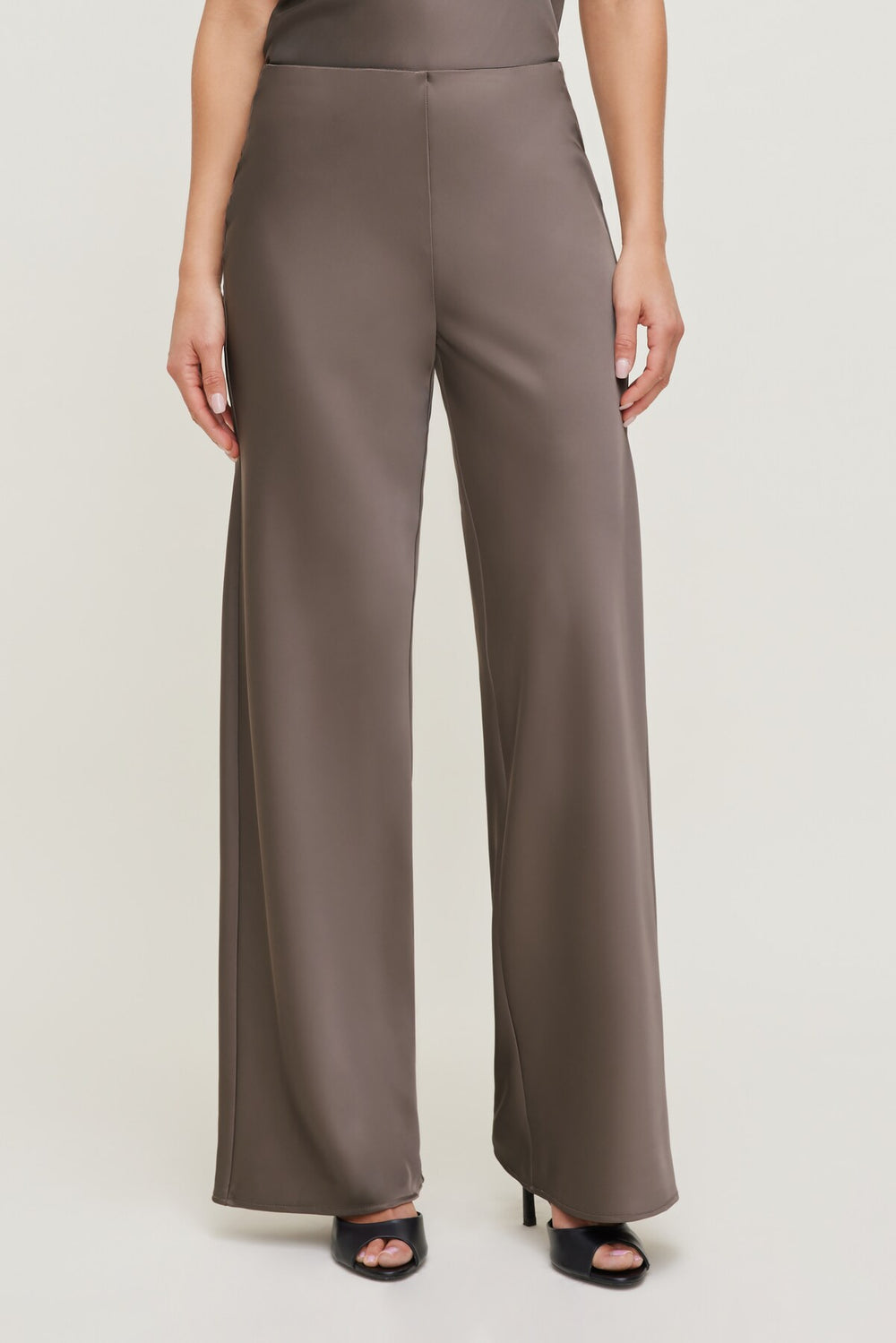 Dynamite Store | Izzy Wide Leg Satin Pants Brown