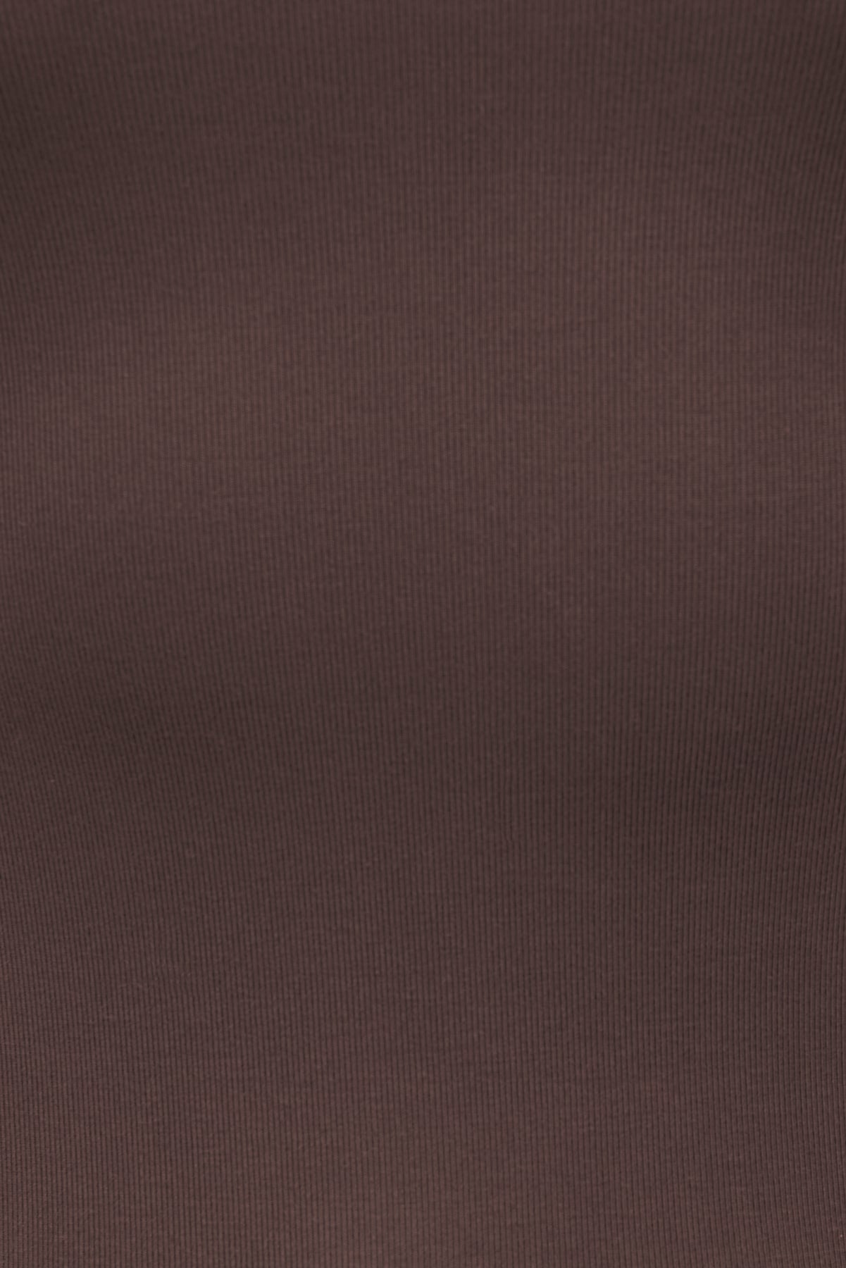 Dynamite Outlets | Rumi Crewneck T Shirt Brown